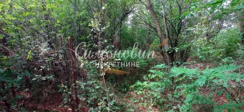 Prodaja, plac, 850m², Surčin, Beograd