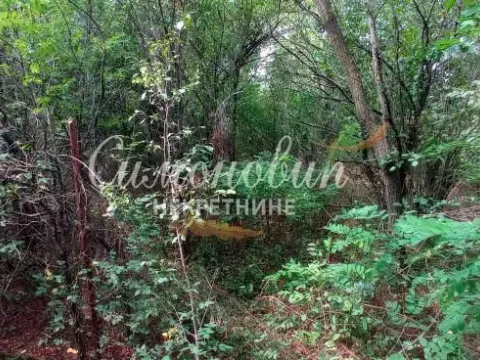 Prodaja, plac, 850m², Surčin, Beograd - image 14