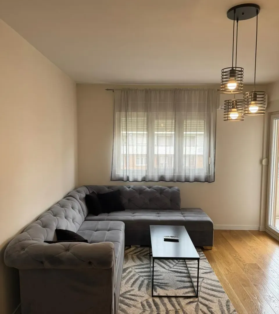 Izdavanje, jednosoban stan, 50m², Central Point, Podgorica