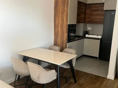Rent, one bedroom apartment, 46m², Stari Aerodrom, Podgorica - image 4