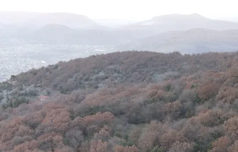 Pogled na šumoviti brijeg. - image 3