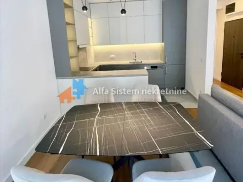 Rent, two bedroom apartment, 60m², Vračar Sve Podlokacije, Beograd - image 9