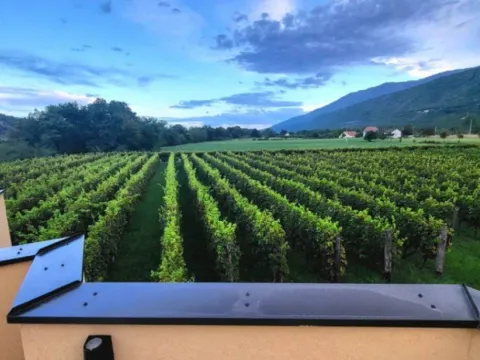 Sale, house, 300m², Zagorak, Danilovgrad - image 2