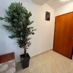 Sale, two bedroom apartment, 85m², Rafailovići, Budva - image 12