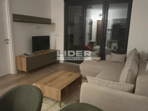 Izdavanje, dvosoban stan, 40m², Južni Bulevar, Vračar Sve Podlokacije - image 2