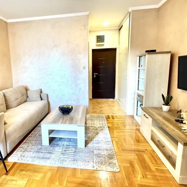 Rent, studio apartment, 30m², Tuški Put, Podgorica