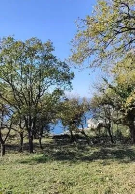 Prodaja, plac, 1227m², Dobra Voda, Budva