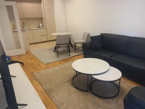 Izdavanje, jednosoban stan, 46m², Zabjelo, Podgorica - image 2