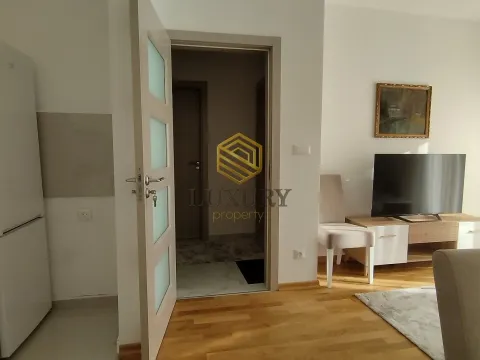 Rent, one bedroom apartment, 40m², Zabjelo, Podgorica - image 7