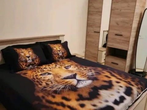 Rent, apartment, 40m², Budva, Crna Gora - image 10