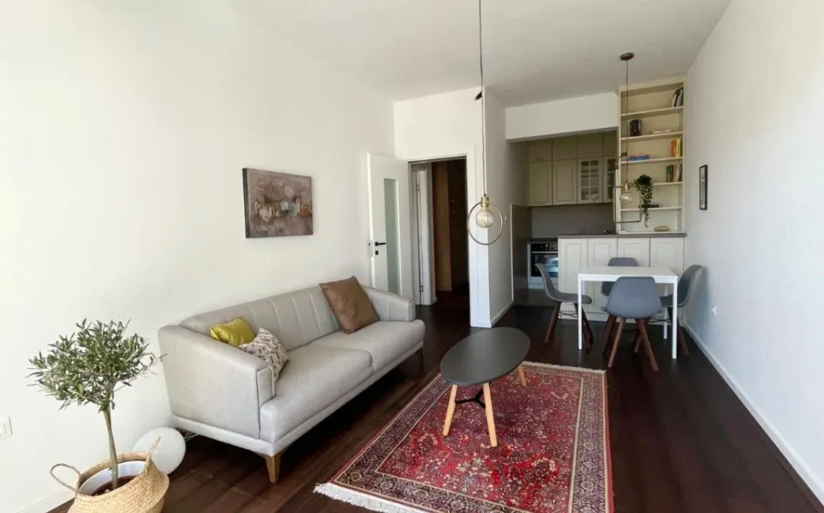 Rent, one bedroom apartment, 48m², Vezirov Most, Podgorica