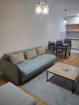 Rent, one bedroom apartment, 47m², Central Point, Podgorica - image 7