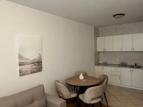 Rent, one bedroom apartment, 54m², Vezirov Most, Podgorica - image 8