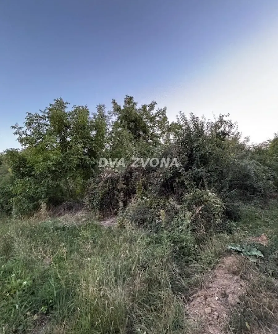 Prodaja, plac, 2600m², Čortanovci, Inđija