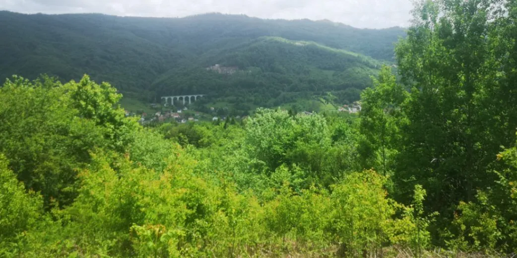 Prodaja, plac, 5300m², Bašanje Brdo, Kolašin