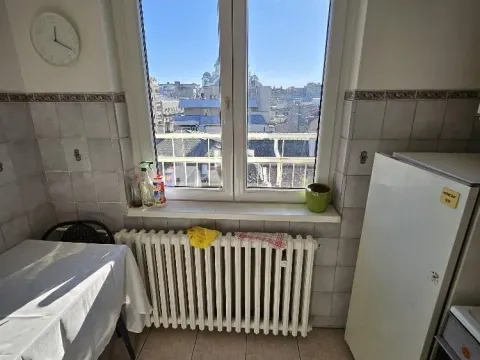 Rent, one bedroom apartment, 30m², Vračar Hram, Vračar Sve Podlokacije - image 6