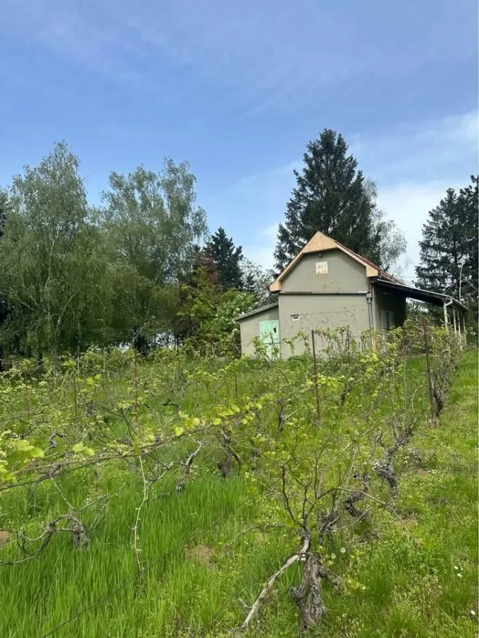 Prodaja, kuća, 24m², Čortanovci, Inđija