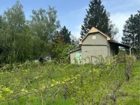 Prodaja, kuća, 24m², Čortanovci, Inđija - image 2