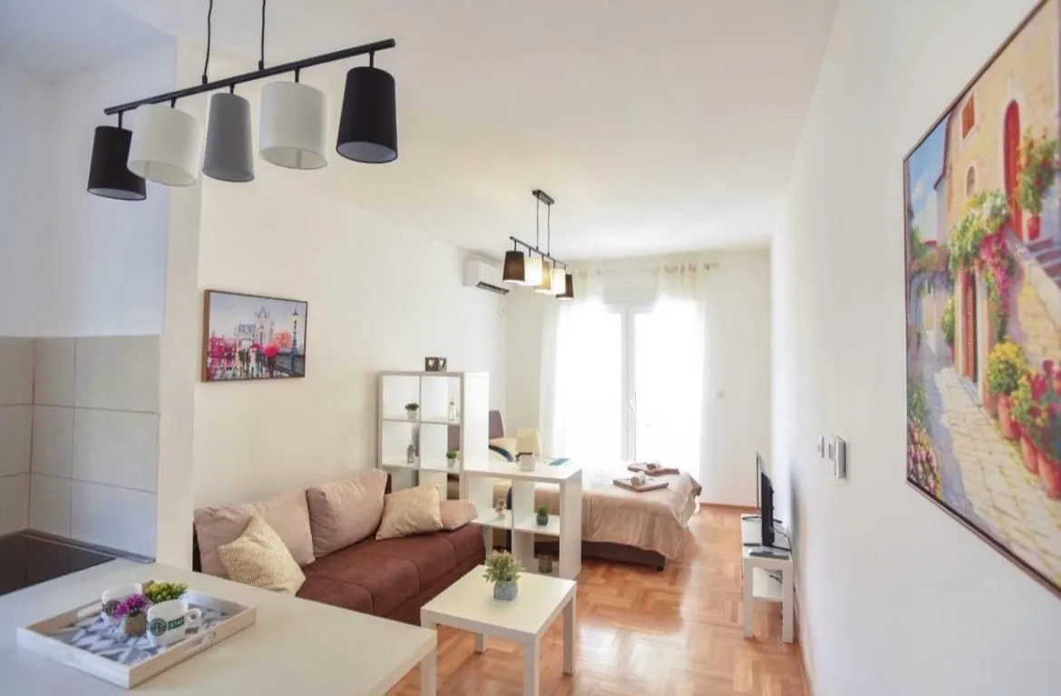 Open-plan living room with a sofa and a sleeping area in the background.