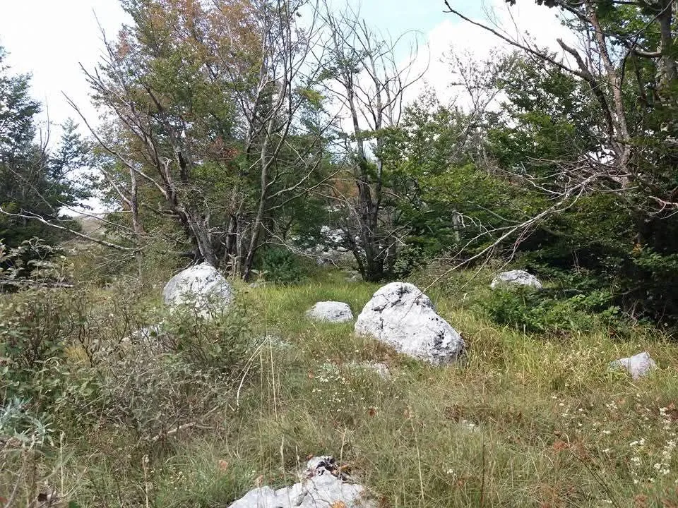 Prodaja, plac, 20000m², Cetinje, Crna Gora