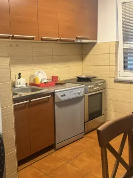 Jednostavna kuhinja sa drvenim elementima, mašinom za suđe i šporetom. - image 9
