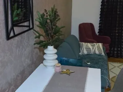 Izdavanje, jednosoban stan, 44m², Zabjelo, Podgorica - image 5