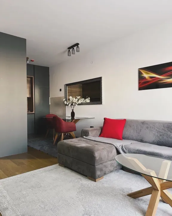 Izdavanje, jednosoban stan, 50m², Ljubović, Podgorica