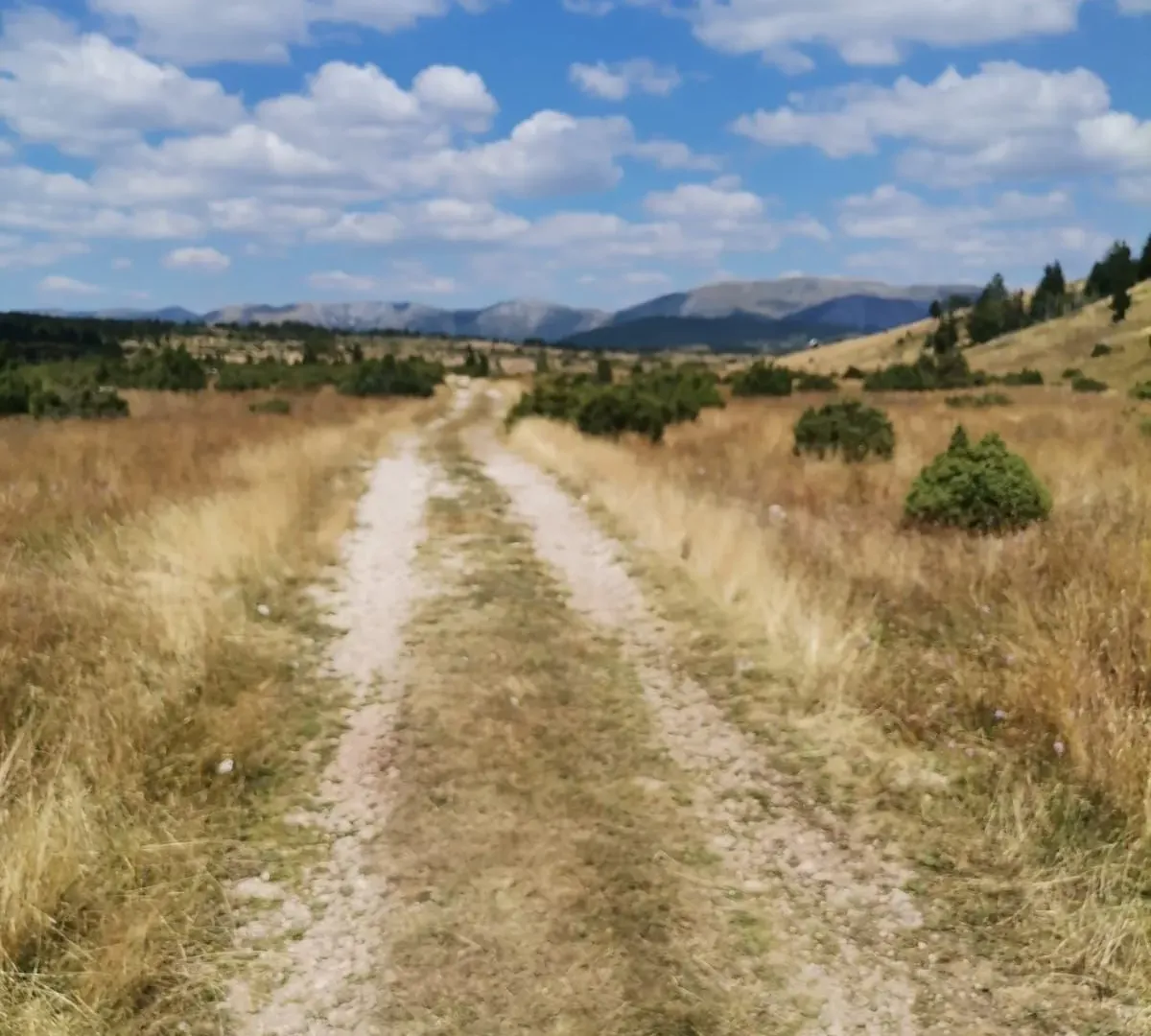 Prodaja, plac, 36000m², Žabljak, Crna Gora