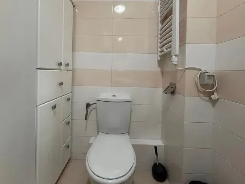 Compact bathroom with a toilet, built-in cabinet, and towel warmer. - image 8