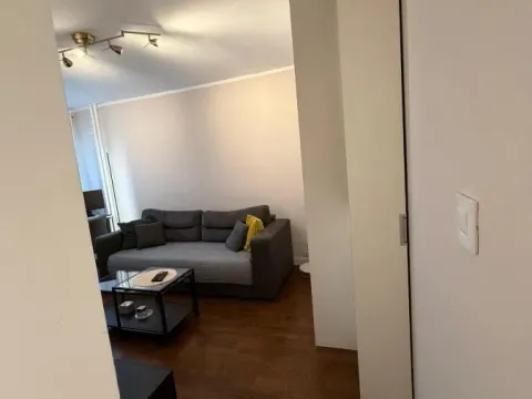 Sale, one bedroom apartment, 42m², Zemun Sve Podlokacije, Beograd - image 12