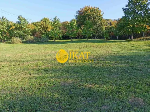 Prodaja, plac, 16000m², Čortanovci, Inđija - image 9