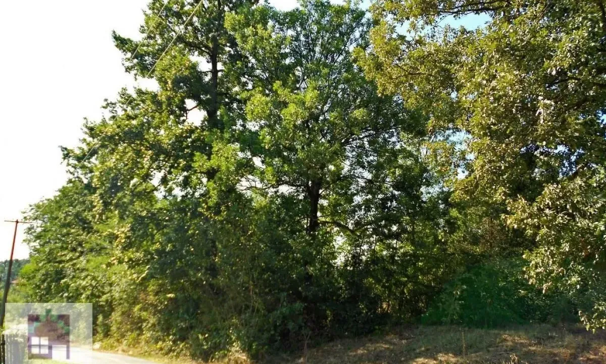 Prodaja, plac, 1700m², Mala Moštanica, Obrenovac