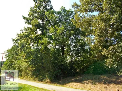 Sale, land lot, 17m², Mala Moštanica, Obrenovac