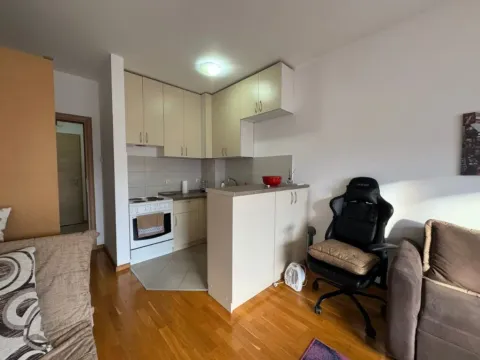Izdavanje, garsonjera, 30m², Tuški Put, Podgorica - image 3