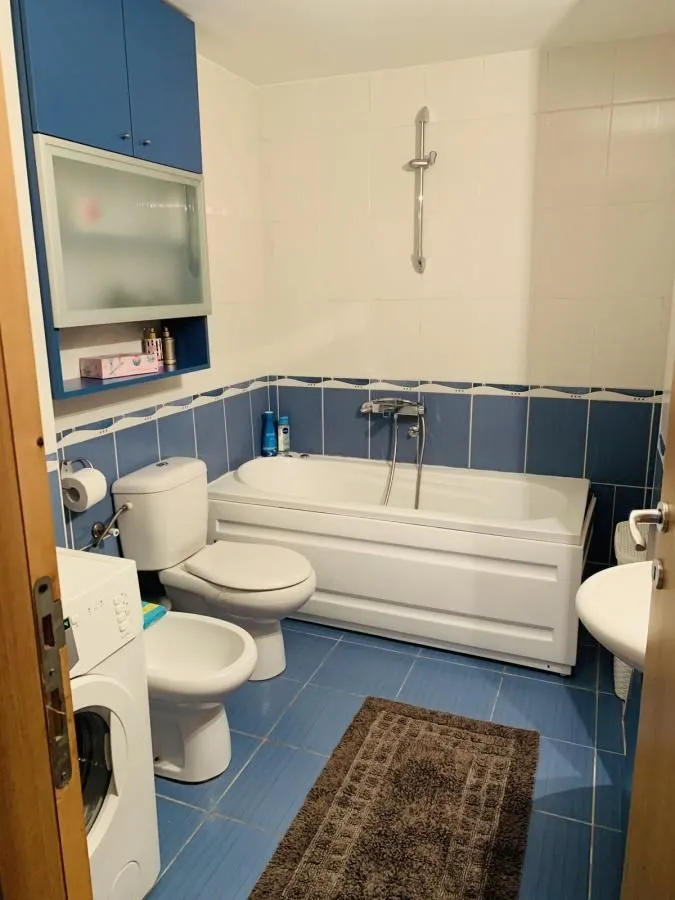 Izdavanje, jednosoban stan, 52m², Centar, Niš