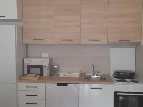 Rent, one bedroom apartment, 44m², Ljubović, Podgorica - image 2