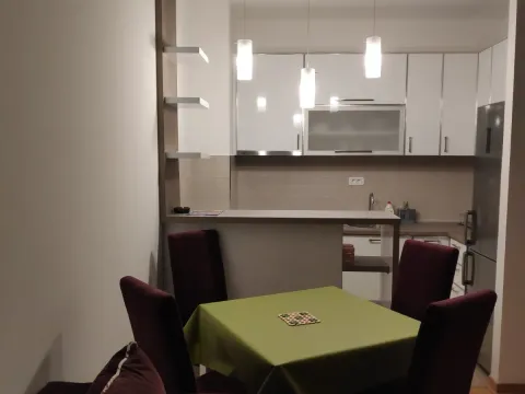 Izdavanje, jednosoban stan, 43m², City Kvart, Podgorica - image 4