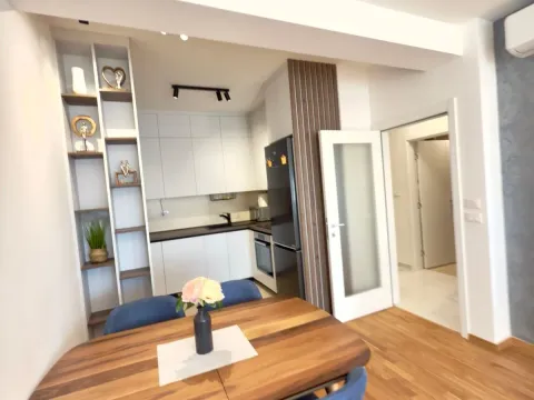 Izdavanje, jednosoban stan, 48m², Zabjelo, Podgorica - image 2