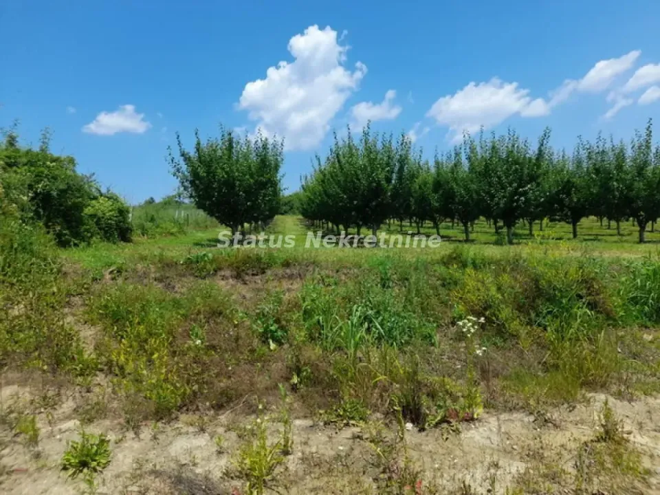 Prodaja, plac, 3000m², Banja Vrdnik, Irig