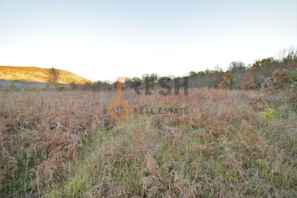 Prodaja, plac, 18000m², Danilovgrad, Crna Gora