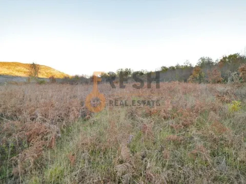 Prodaja, plac, 18000m², Danilovgrad, Crna Gora - image 6