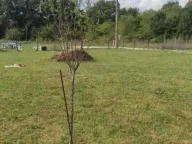 Sale, land lot, 927m², Podglavica, Danilovgrad - image 2