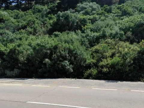 Prodaja, plac, 482m², Bar, Crna Gora - image 6