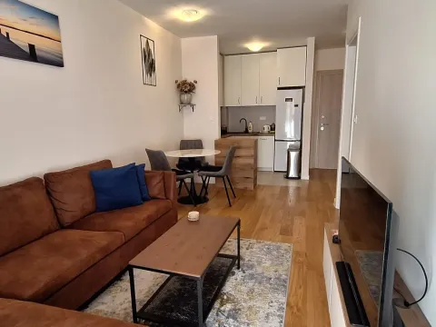 Izdavanje, jednosoban stan, 40m², Central Point, Podgorica - image 1