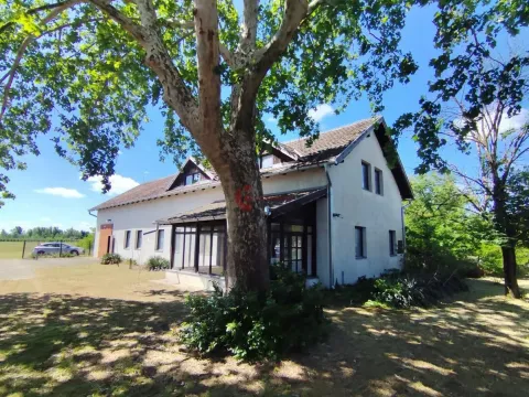 Prodaja, kuća, 880m², Bački Vinogradi, Subotica - image 38