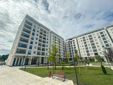 Stan in Tološka šuma