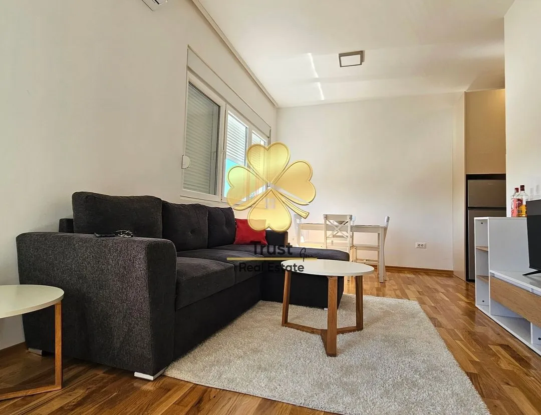Rent, one bedroom apartment, 45m², Zagorič, Podgorica