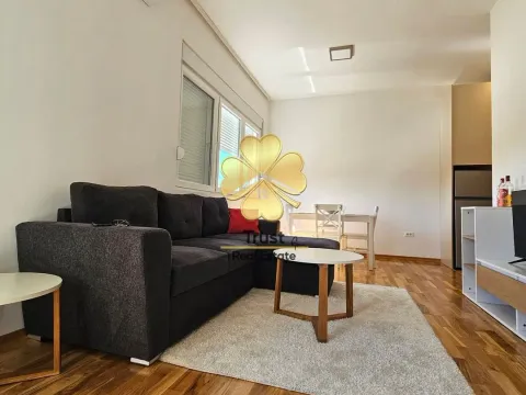 Izdavanje, jednosoban stan, 45m², Zagorič, Podgorica - image 3