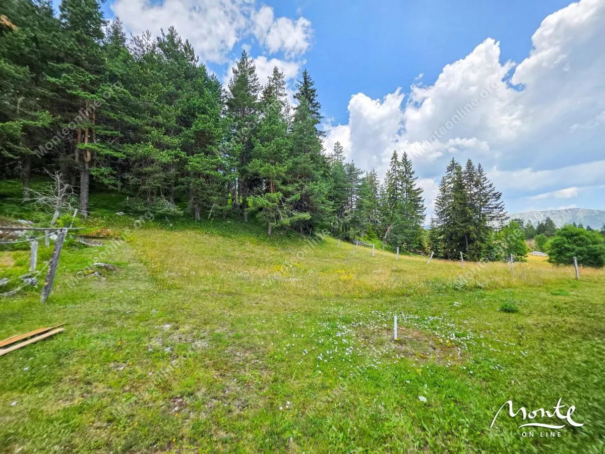 Prodaja, kuća, 58m², Borje, Žabljak