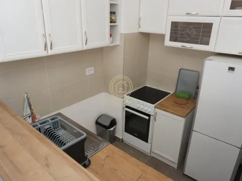 Izdavanje, dvosoban stan, 43m², Zemun Sve Podlokacije, Beograd - image 3